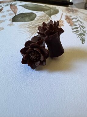 Carved Succulent Wooden Gauge Ear Plug Chocolate Brown - 00g/10mm